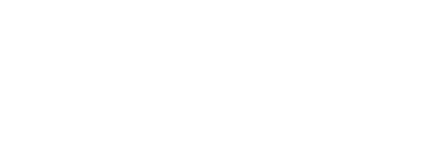 Seon-CT-rev Seon Logo